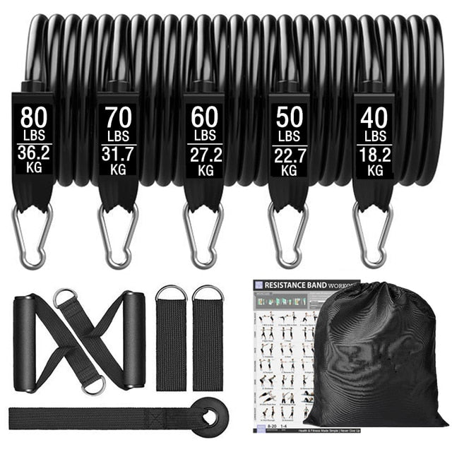 Fitness Exercises Resistance Bands Set - Gymlalla