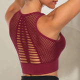 Net Sports Bra - Gymlalla